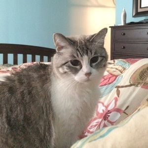 Meet your Posher, Amanda